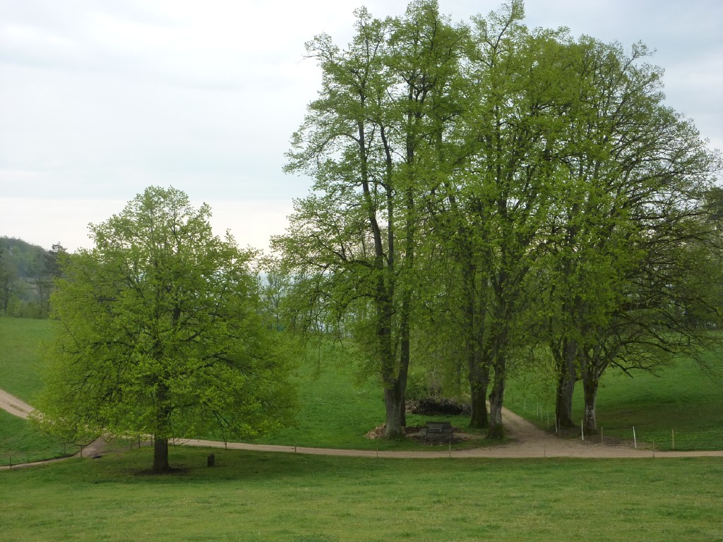 p1010083.jpg