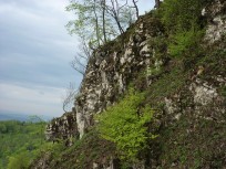 p1010073.jpg