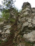 p1010074.jpg