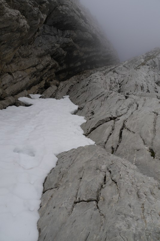 p1010387.jpg