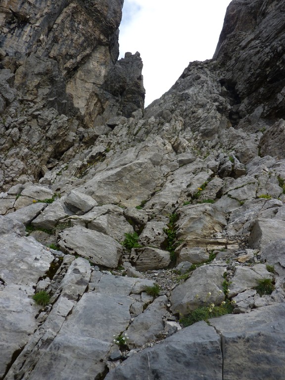 p1010626.jpg