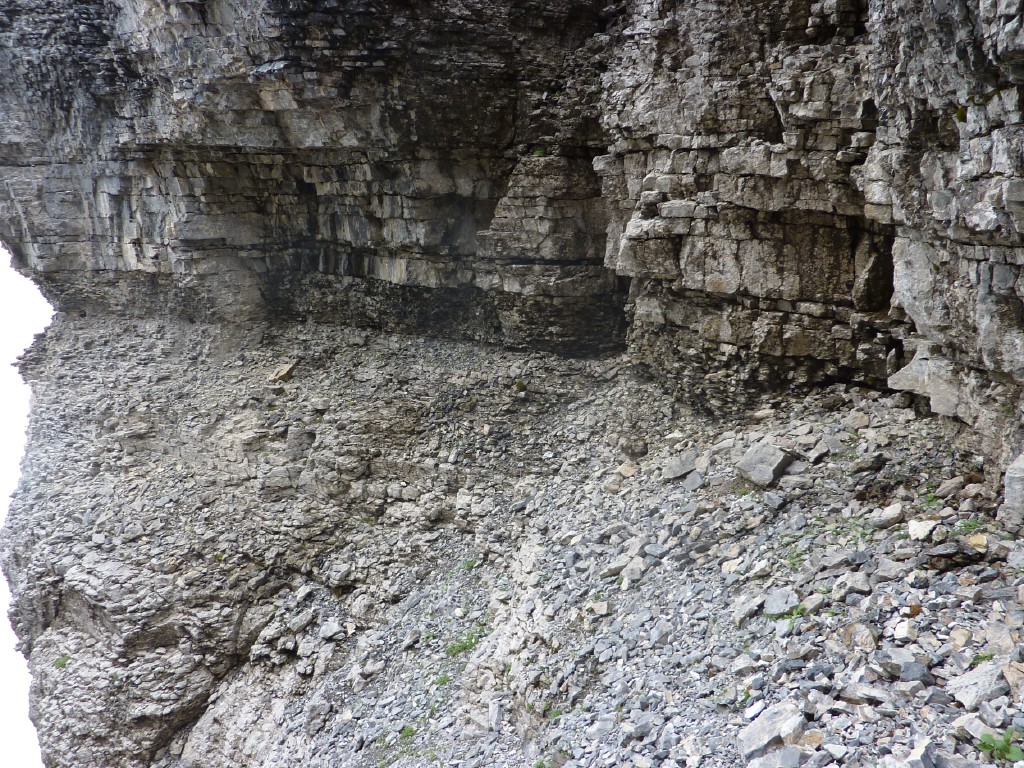 p1010627.jpg