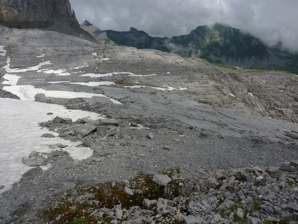p1010628.jpg