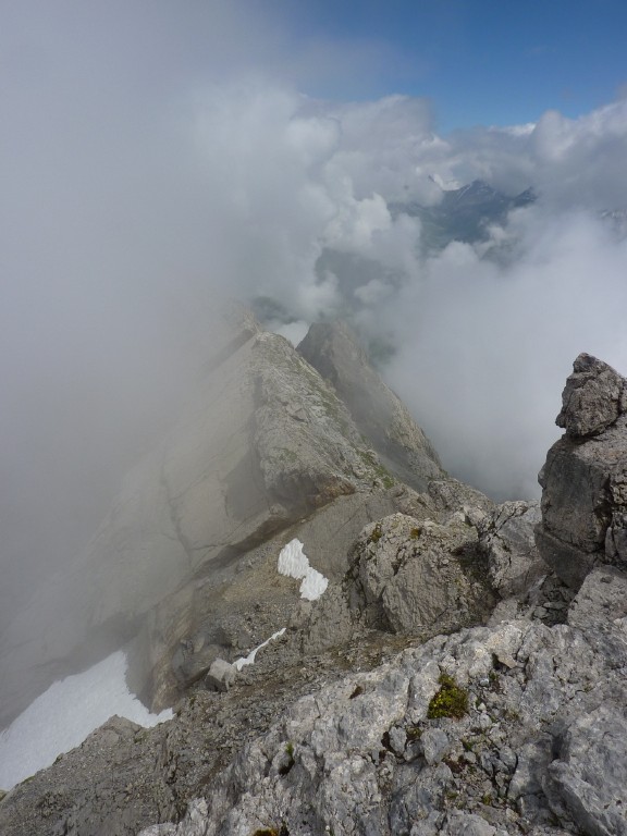 p1010635.jpg