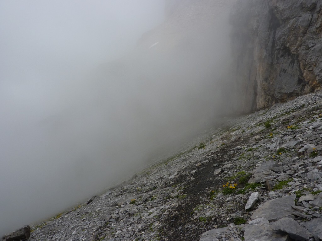 p1010640.jpg