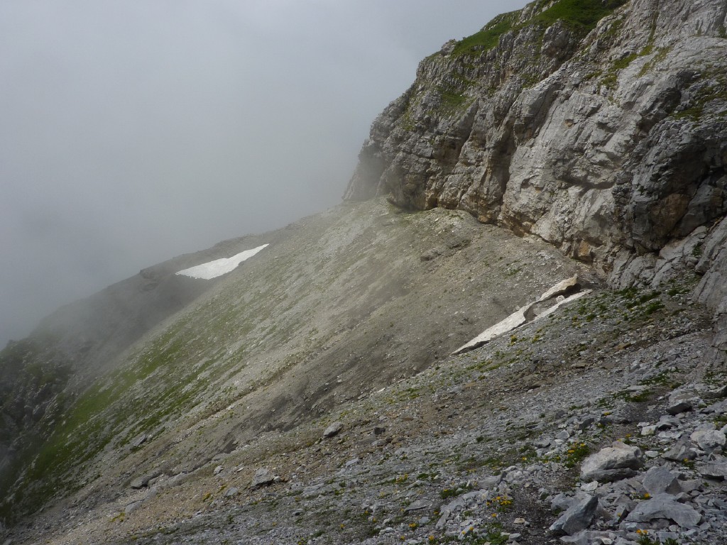 p1010641.jpg