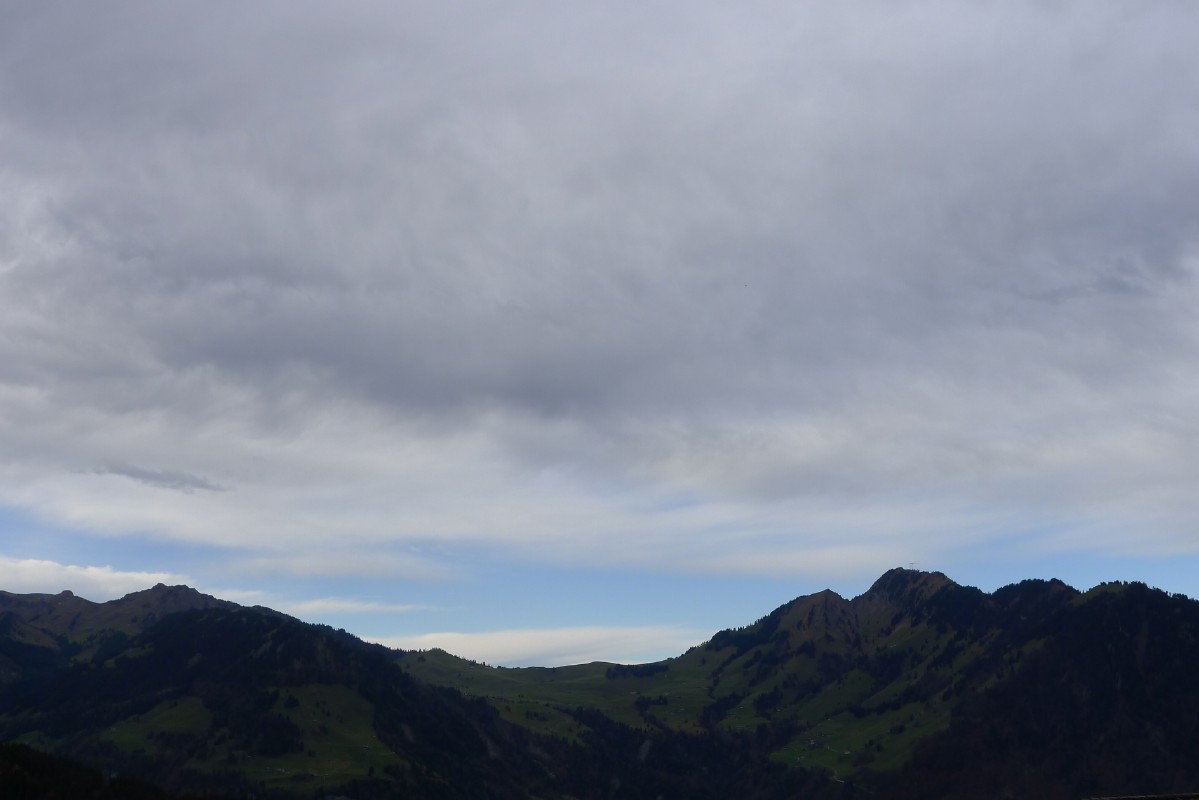 p1000501.jpg