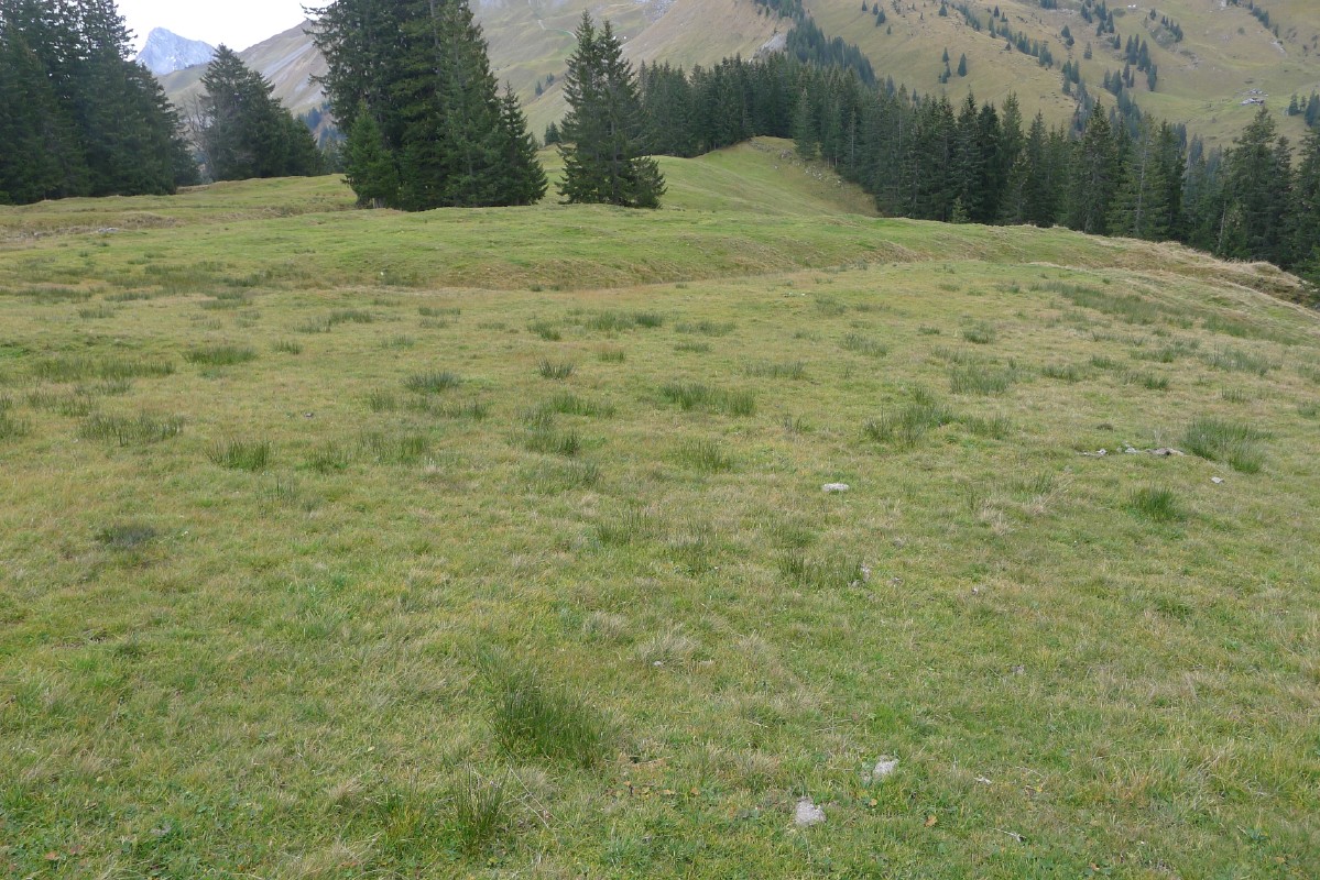 p1000504.jpg