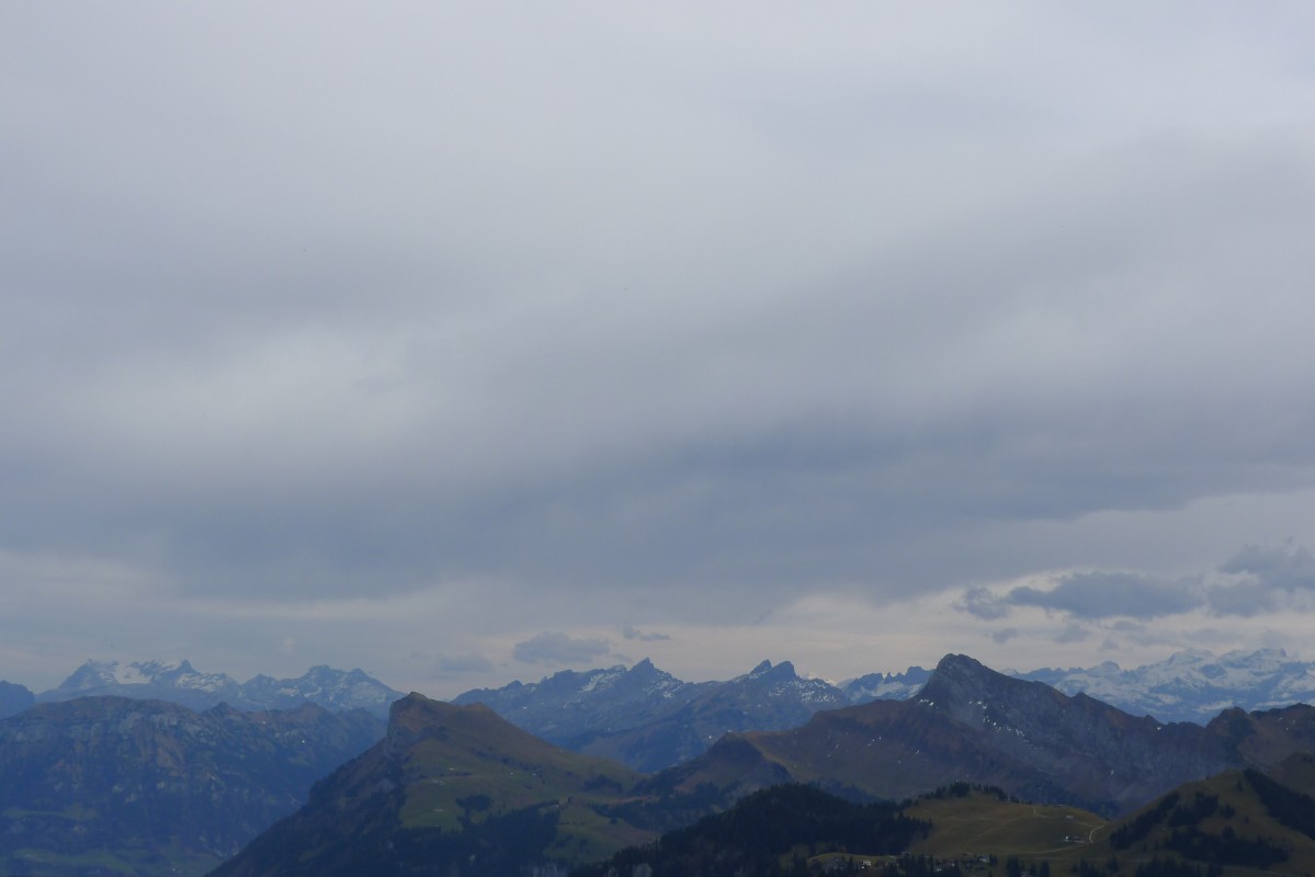 p1000522.jpg