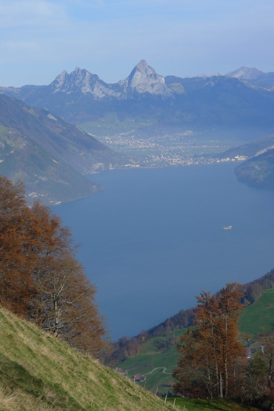 p1000537.jpg