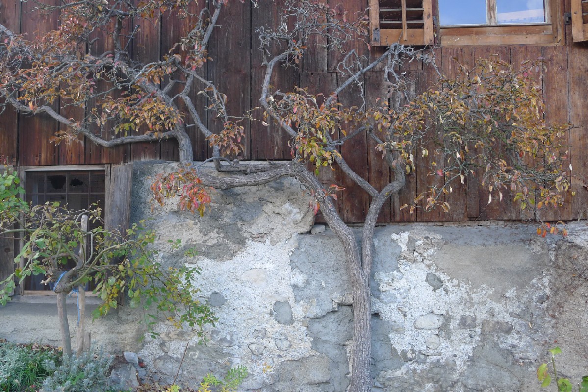 p1000541.jpg
