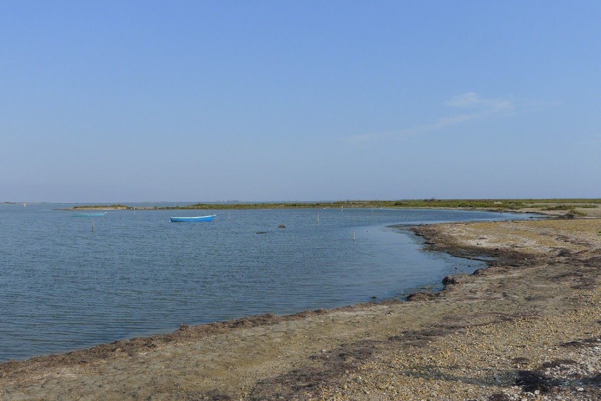 p1000075.jpg
