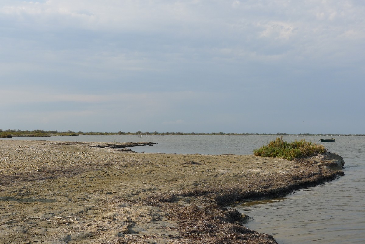 p1000078.jpg