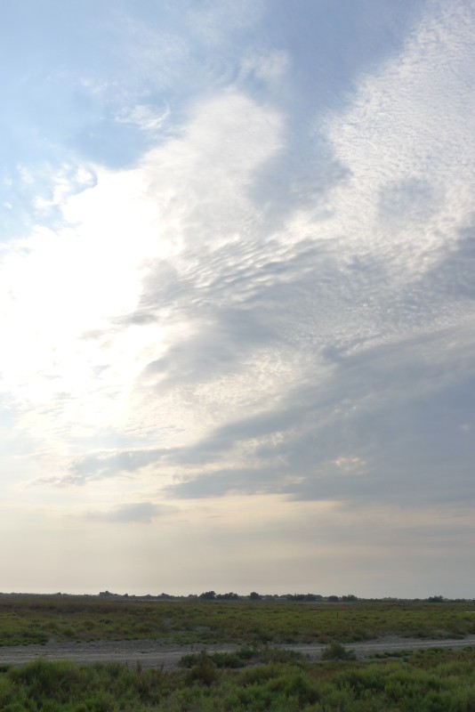 p1000079.jpg