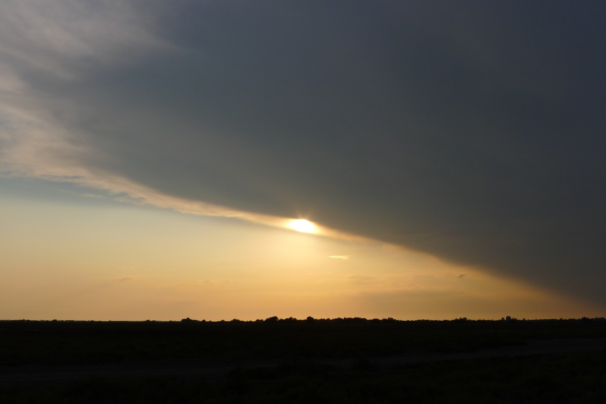 p1000083.jpg