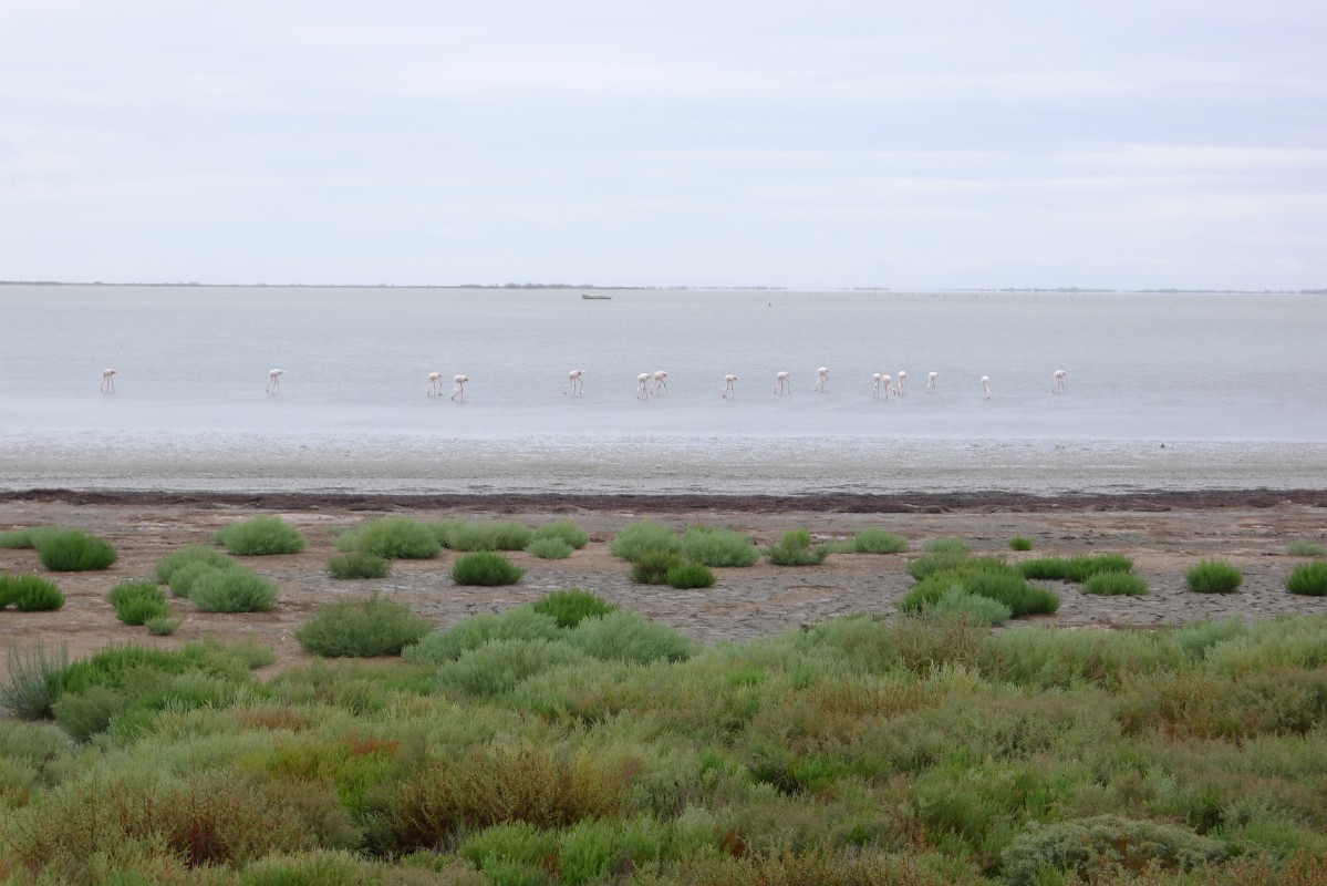 p1000091.jpg