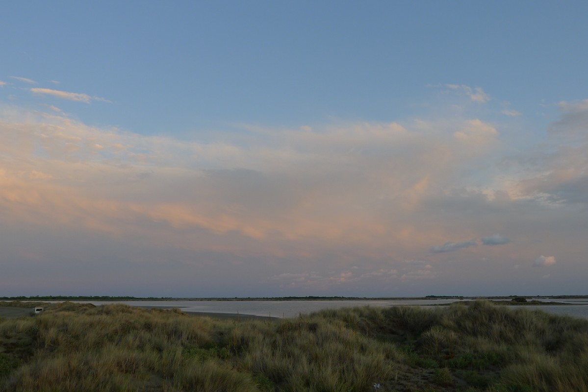 p1000104.jpg