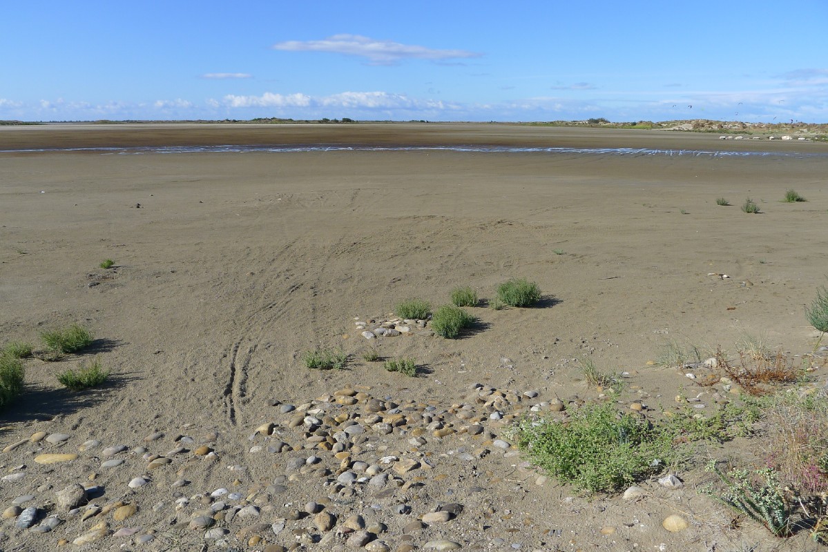 p1000117.jpg