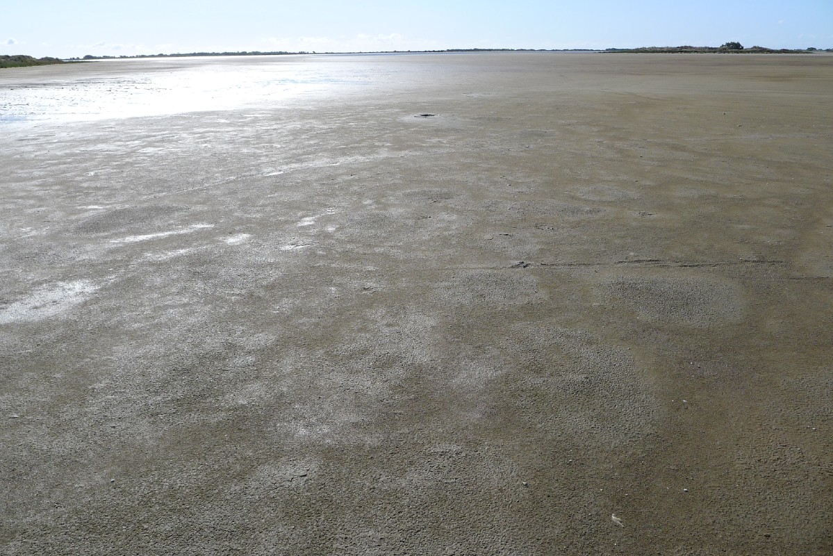 p1000121.jpg