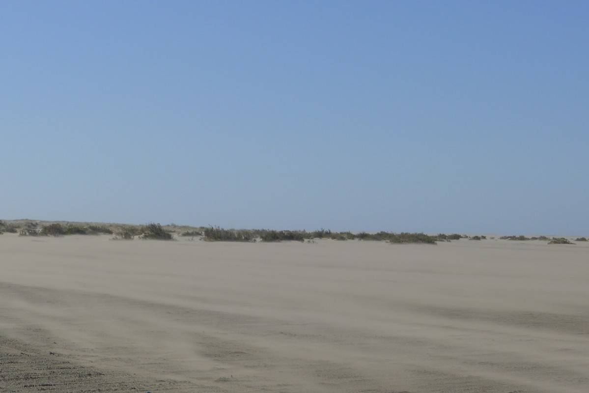 p1000130.jpg