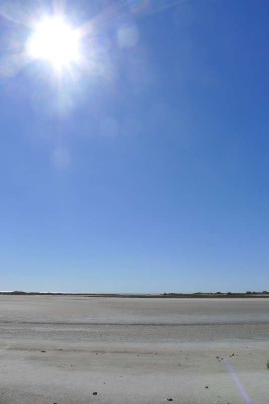 p1000167.jpg