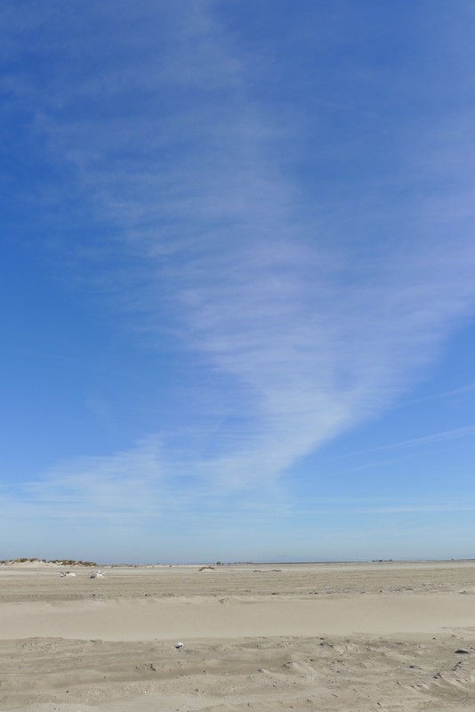 p1000215.jpg