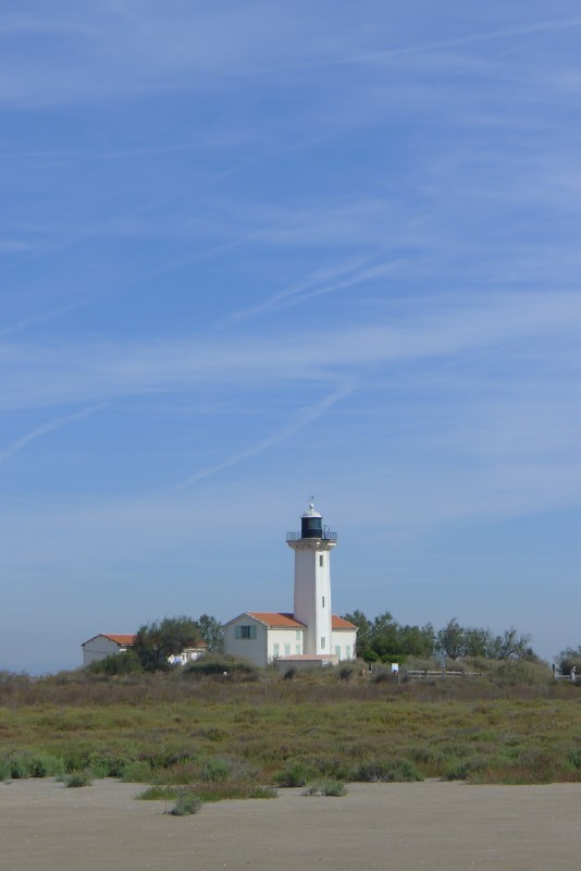 p1000224.jpg