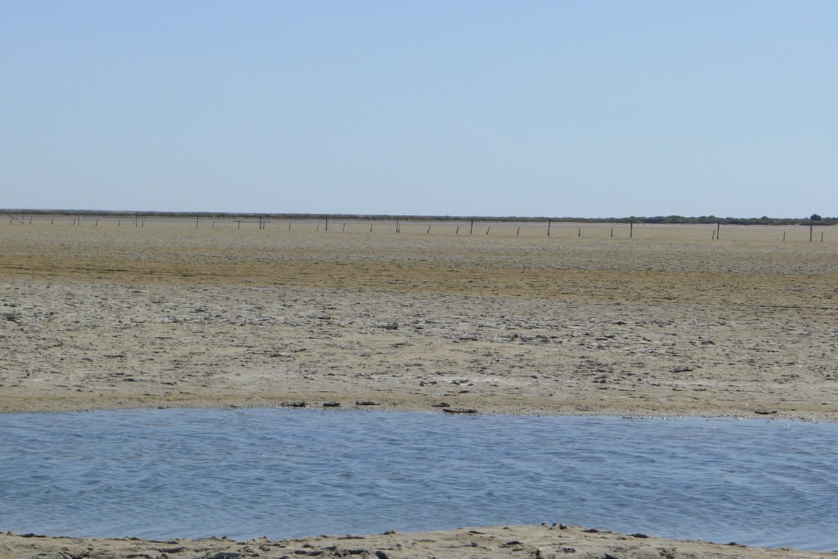 p1000249.jpg