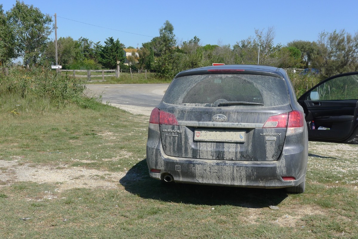 p1000262.jpg