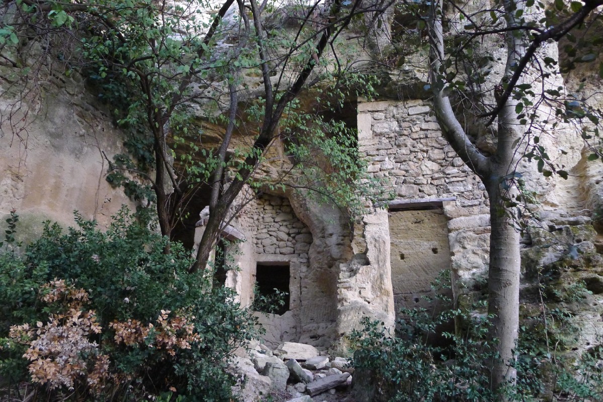 p1000266.jpg
