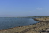 p1000075.jpg