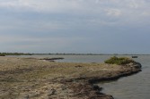 p1000078.jpg