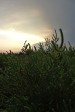 p1000085.jpg