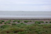 p1000091.jpg
