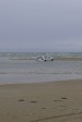 p1000099.jpg