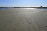 p1000111.jpg