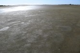 p1000121.jpg