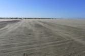 p1000127.jpg