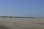 p1000130.jpg