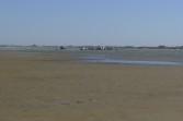 p1000136.jpg