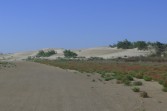 p1000141.jpg