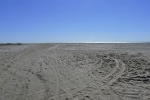 p1000157.jpg