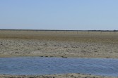 p1000249.jpg