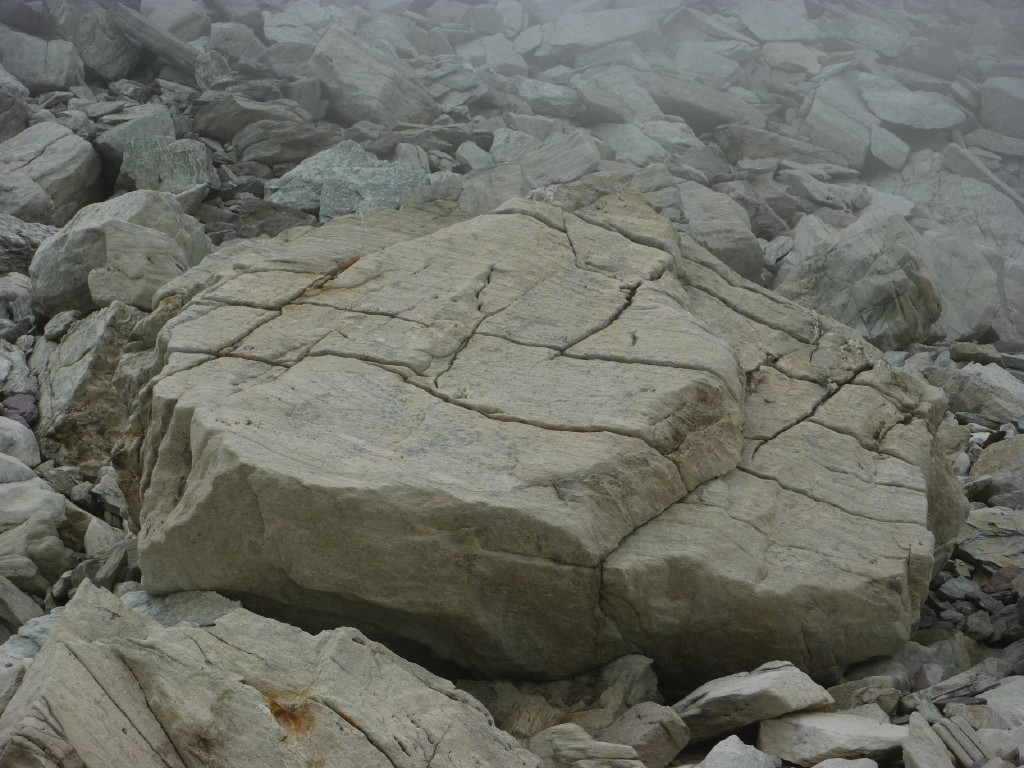 p1030143.jpg