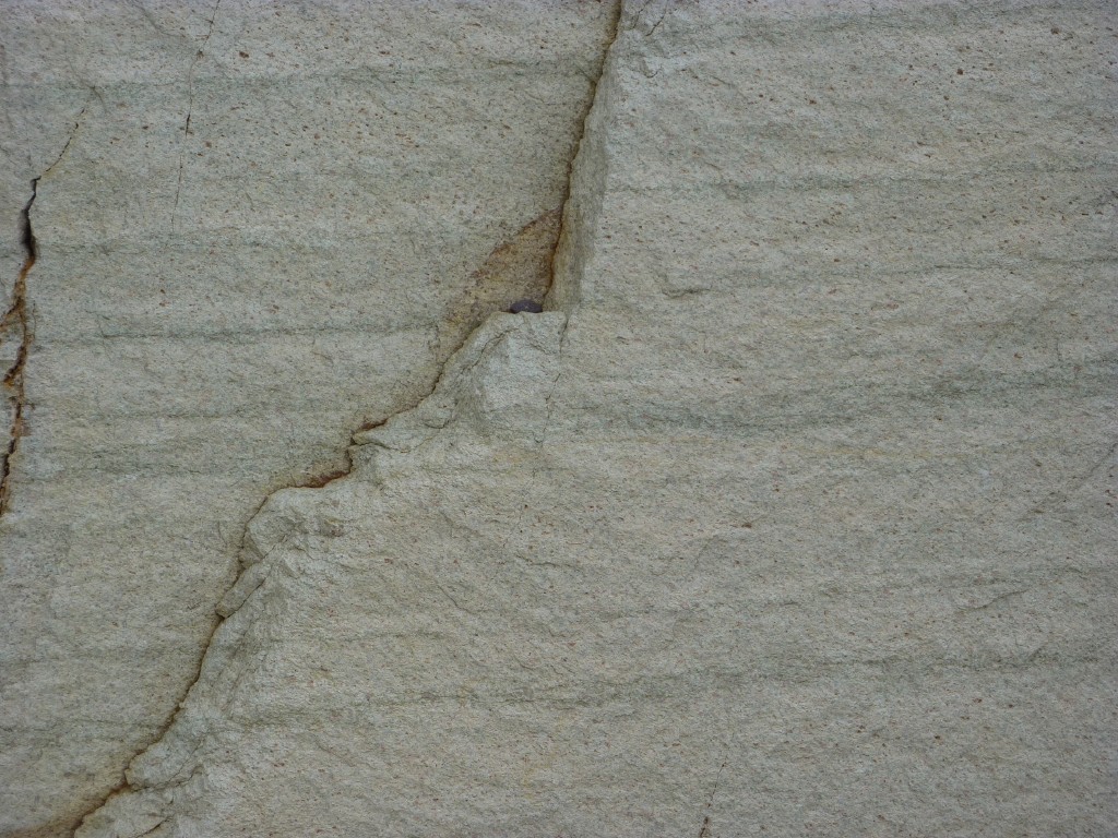 p1030144.jpg