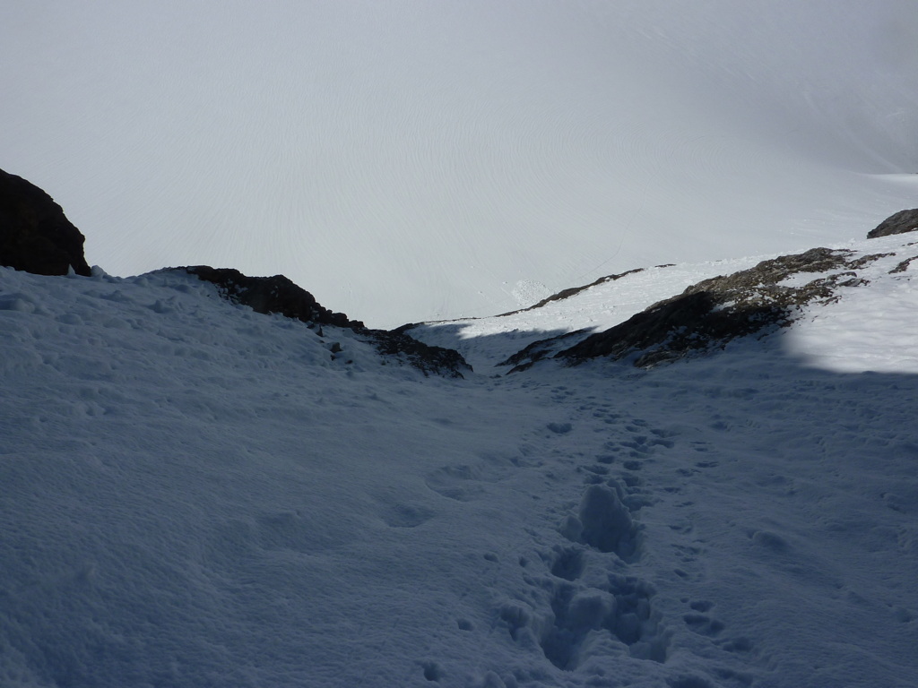 p1020732.jpg