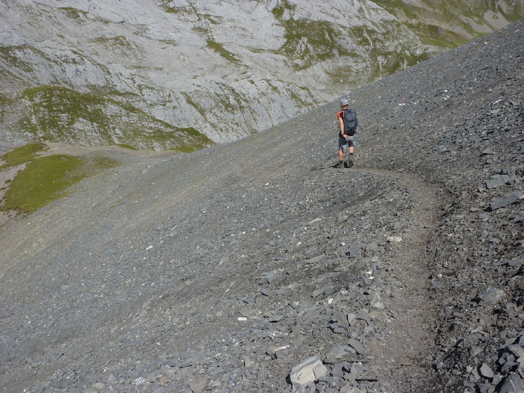 p1030428.jpg