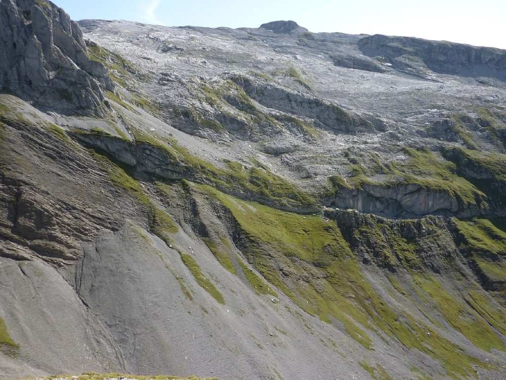 p1030431.jpg
