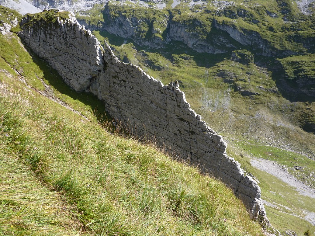 p1030432.jpg