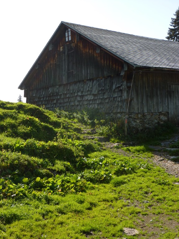 p1030436.jpg